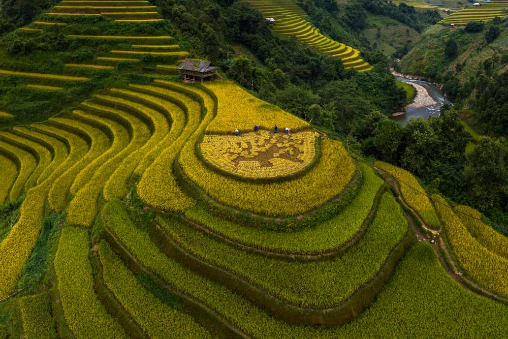 Art of Rice Terraces by Phat Dao Tan — canvas wall art