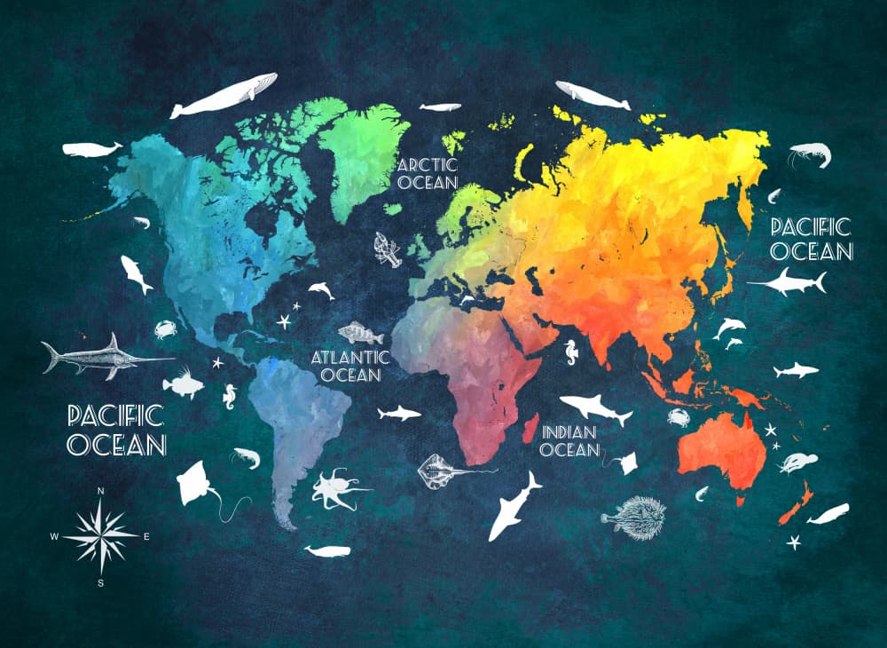Vibrant Marine World Map by Justyna Jaszke — canvas wall art