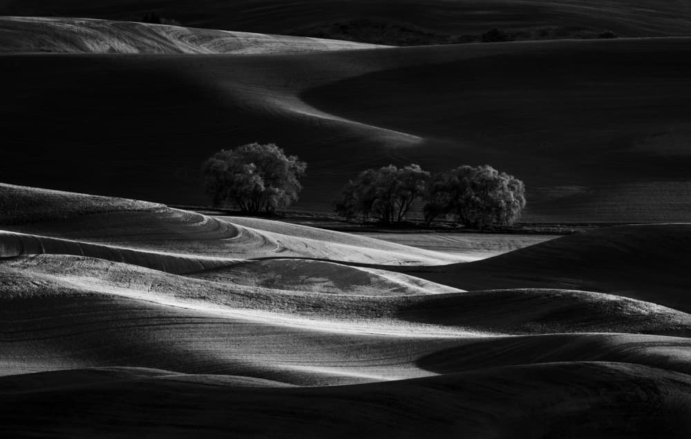 Shadows Over Rolling Hills by Joanna W — canvas wall art