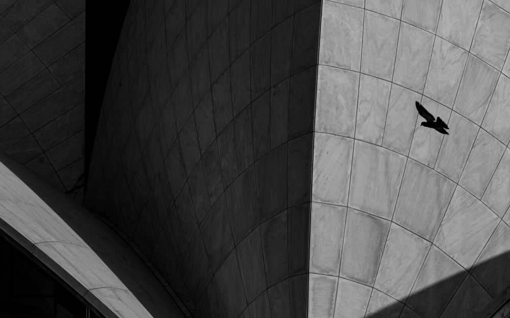 Sydney Opera Flight by Shobhit Chawla — canvas wall art