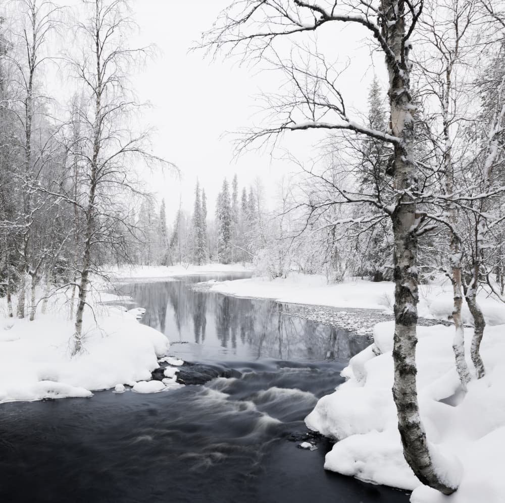 Snowy Forest River by Haim Rosenfeld — canvas wall art