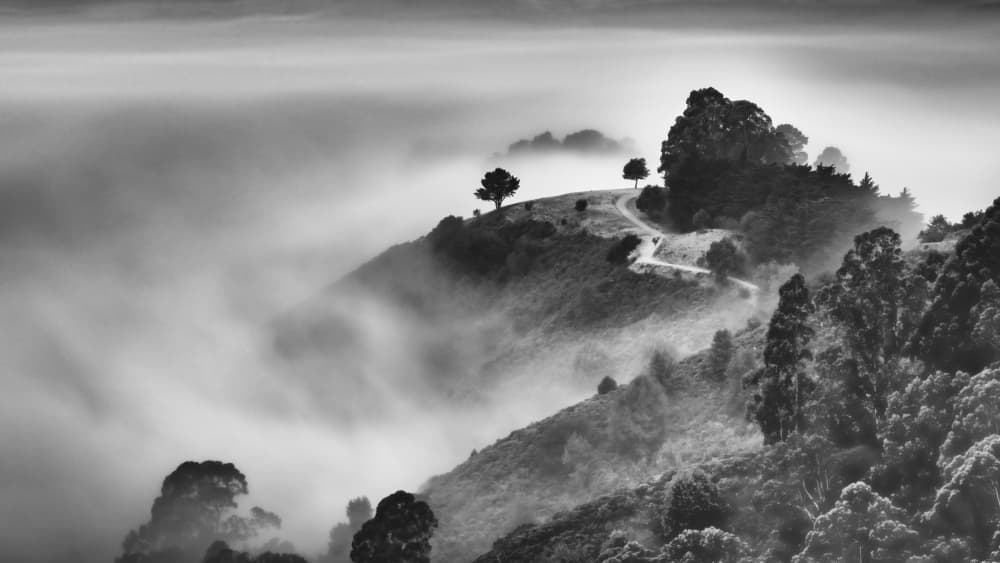 Misty Mountain Road by DonnaHom APA — canvas wall art