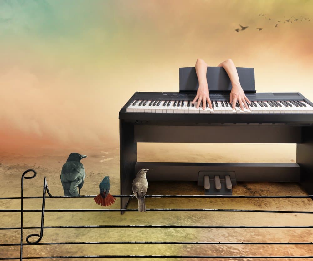 Musical Hands Birds Nature by Biao Huang — canvas wall art