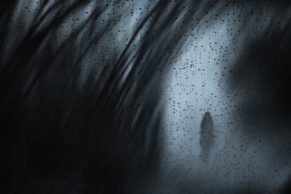 Rainy Window Silhouette by Hari Sulistiawan — canvas wall art