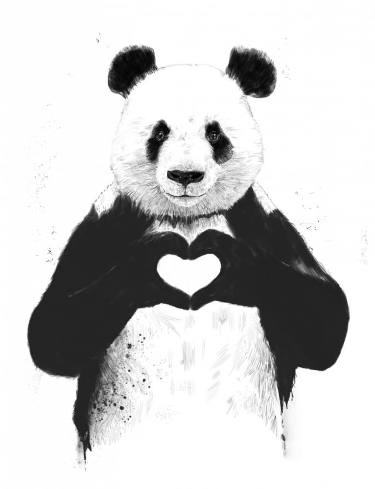 Panda Heart Hands by Balazs Solti — canvas wall art