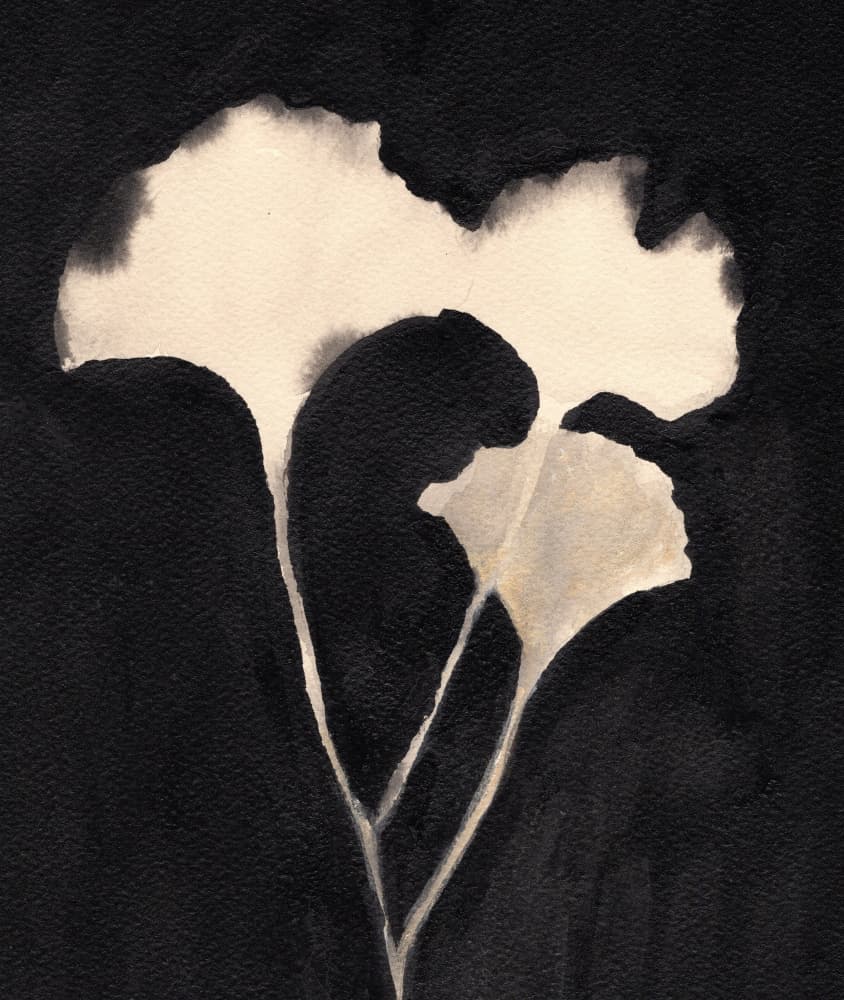 Subtle Ginkgo Serenity by Janel Bragg — canvas wall art