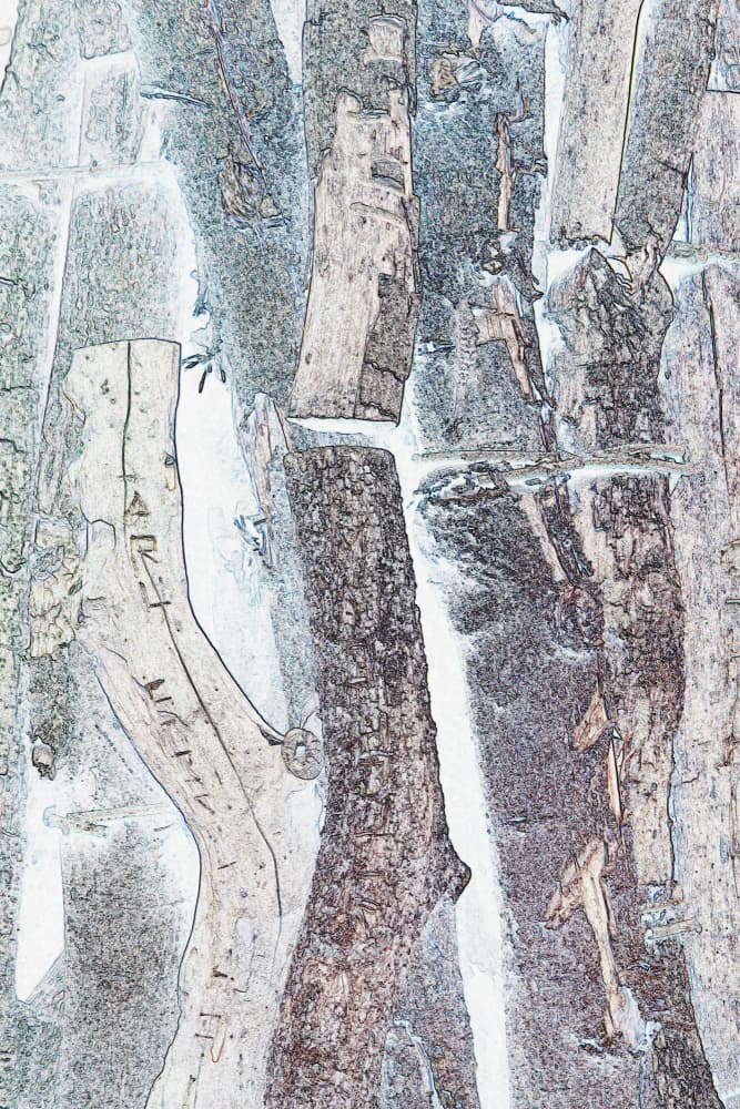 Etched Bark Textures by Santhosh ch — canvas wall art