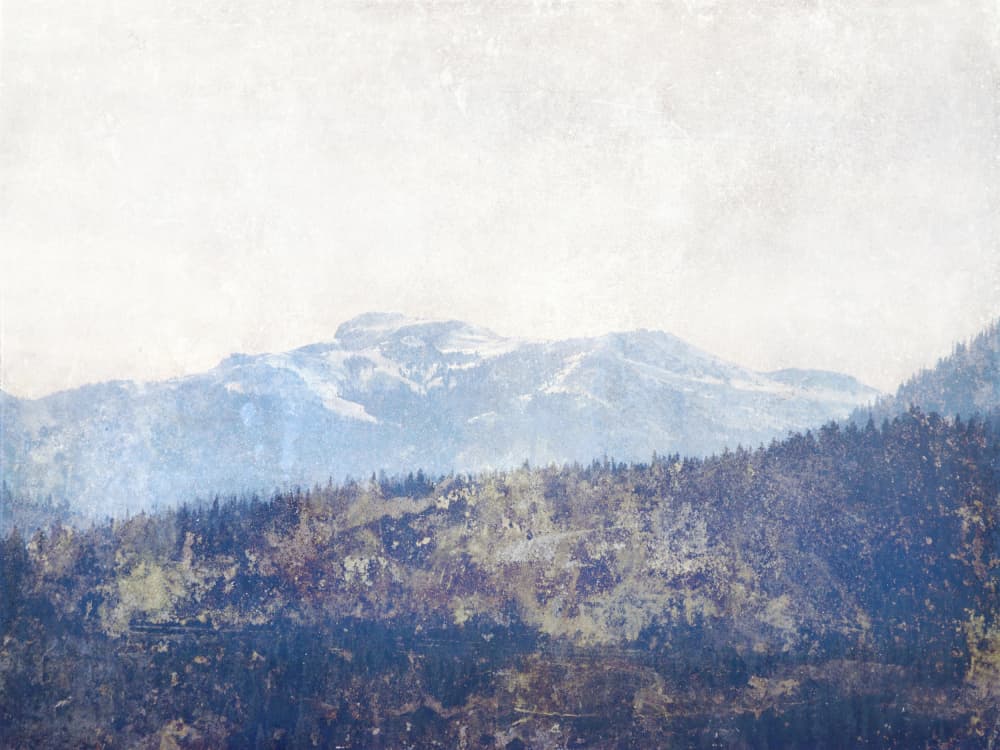 Misty Mountain Forest by Gemma Bardot — canvas wall art