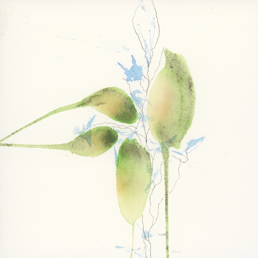 Ethereal Green Pods by Ankie Kooi — canvas wall art