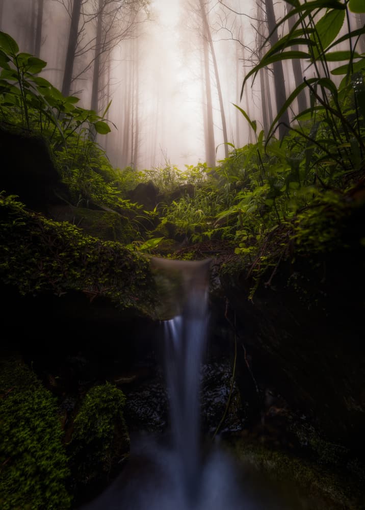 Misty Forest Waterfall by Yezimao — canvas wall art