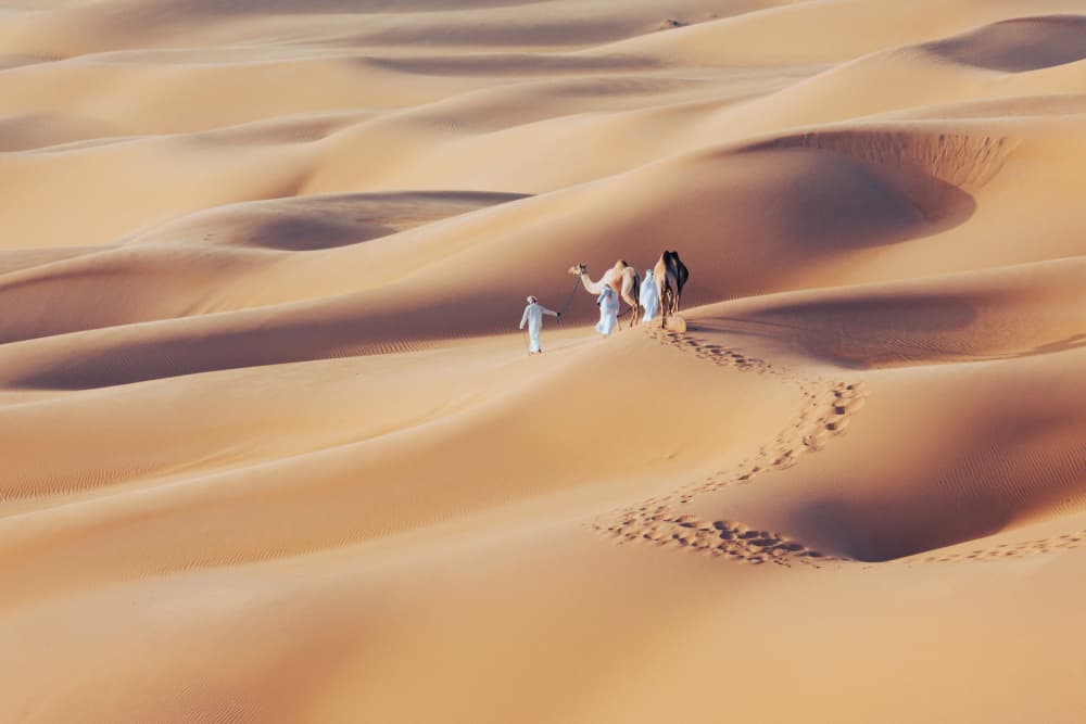 Desert Camel Journey by Mohammed Hasan Al Janabi — canvas wall art