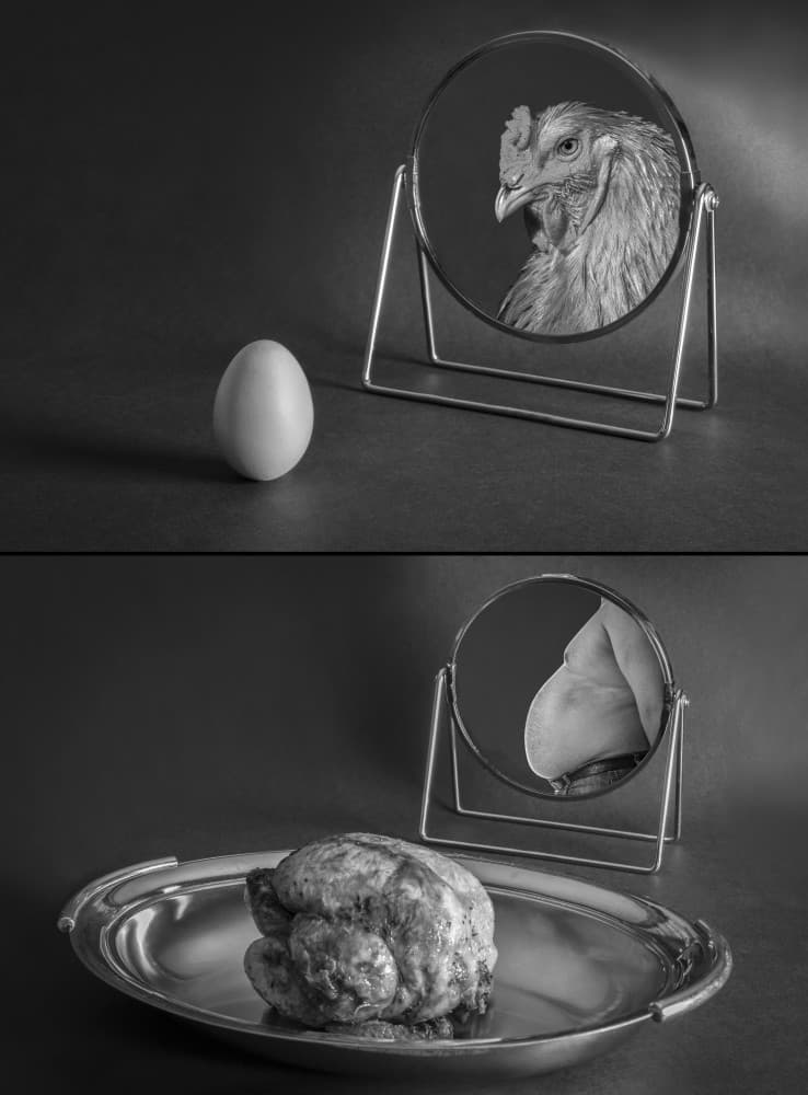 Life Cycle Reflection by Giorgio Toniolo — canvas wall art