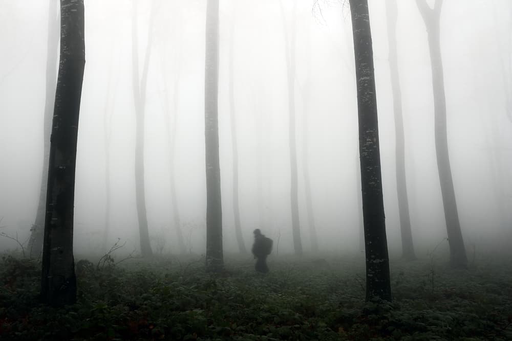 Person In Misty Forest by Dragisa Petrovic — canvas wall art