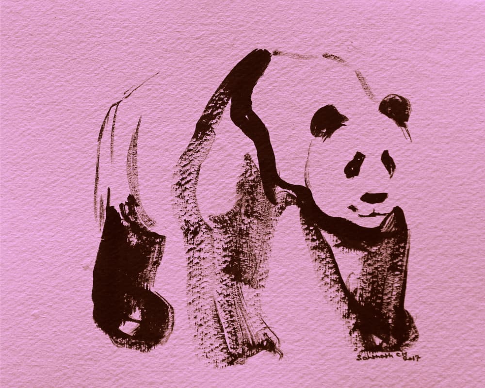 Pink Panda Brushstrokes by Santhosh ch — canvas wall art