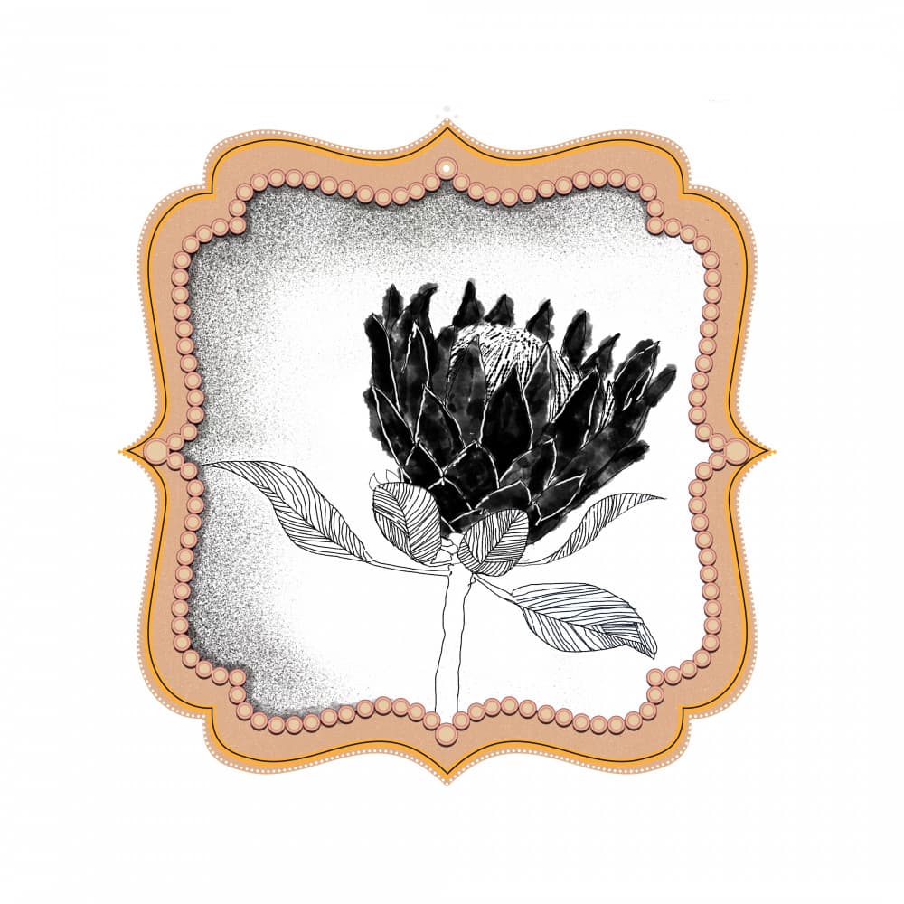 Ornate Protea Drawing by XHOZUCAN — canvas wall art