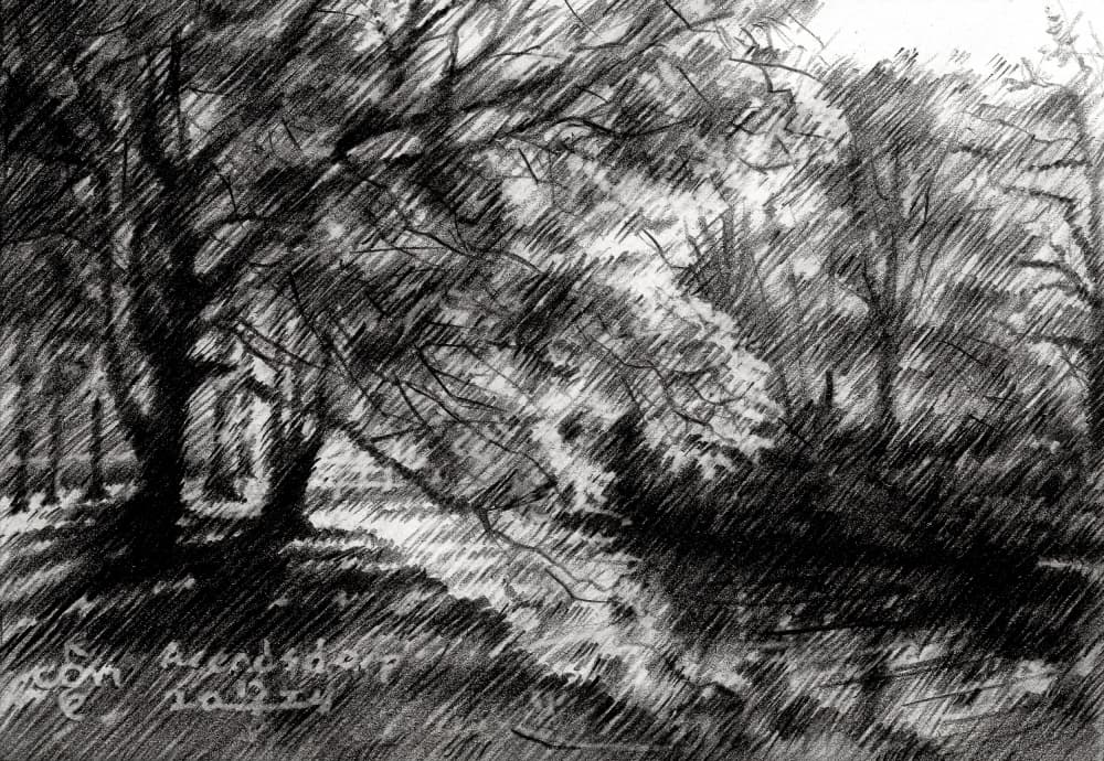 Arendsdorp - 17-05-24 by Corné Akkers — canvas wall art
