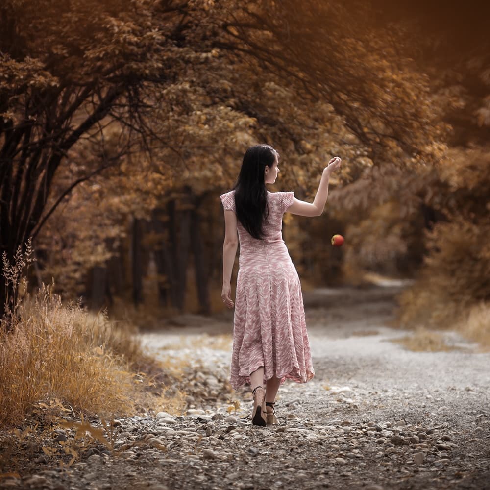 Falling Apple Forest Path by Bobby Kostadinov — canvas wall art
