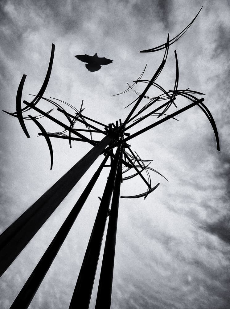 Soaring Bird Sculpture by Holger Goehler — canvas wall art