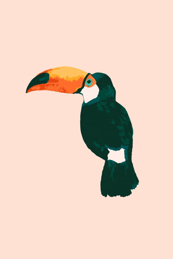 Vibrant Tropical Toucan by Karen Menzenbach — canvas wall art