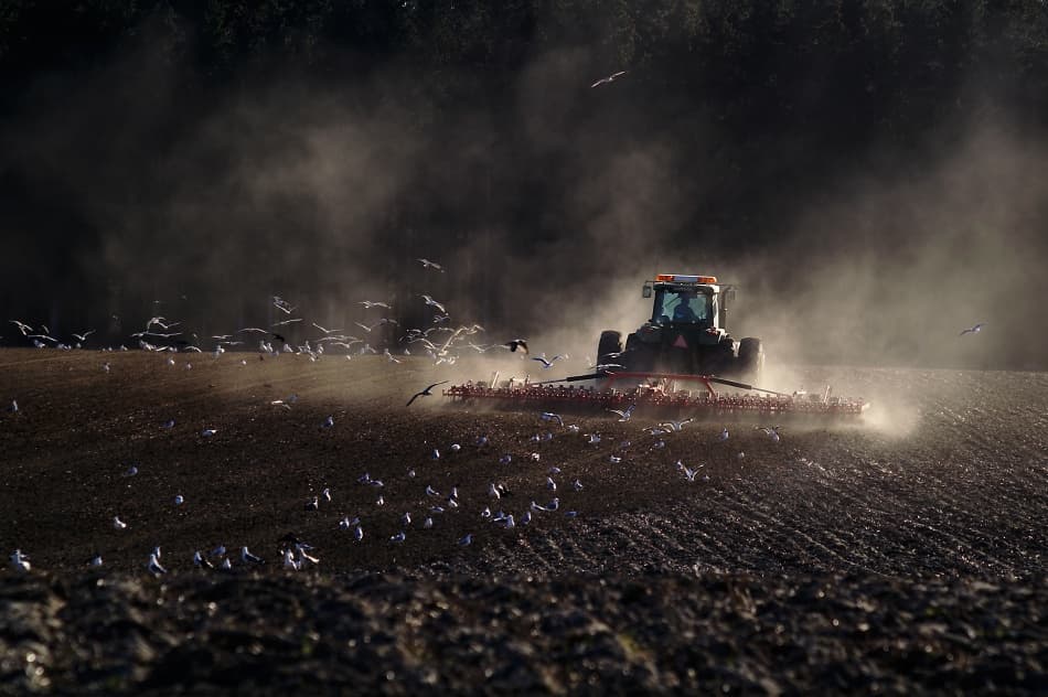 Golden Hour Cultivation by Allan Wallberg — canvas wall art