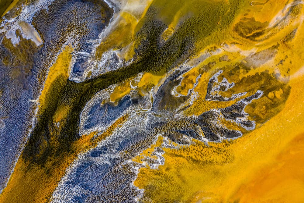 Golden River Delta by Ovi D. Pop — canvas wall art