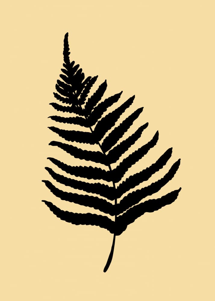 Elegant Fern Silhouette by Pictufy Studio — canvas wall art
