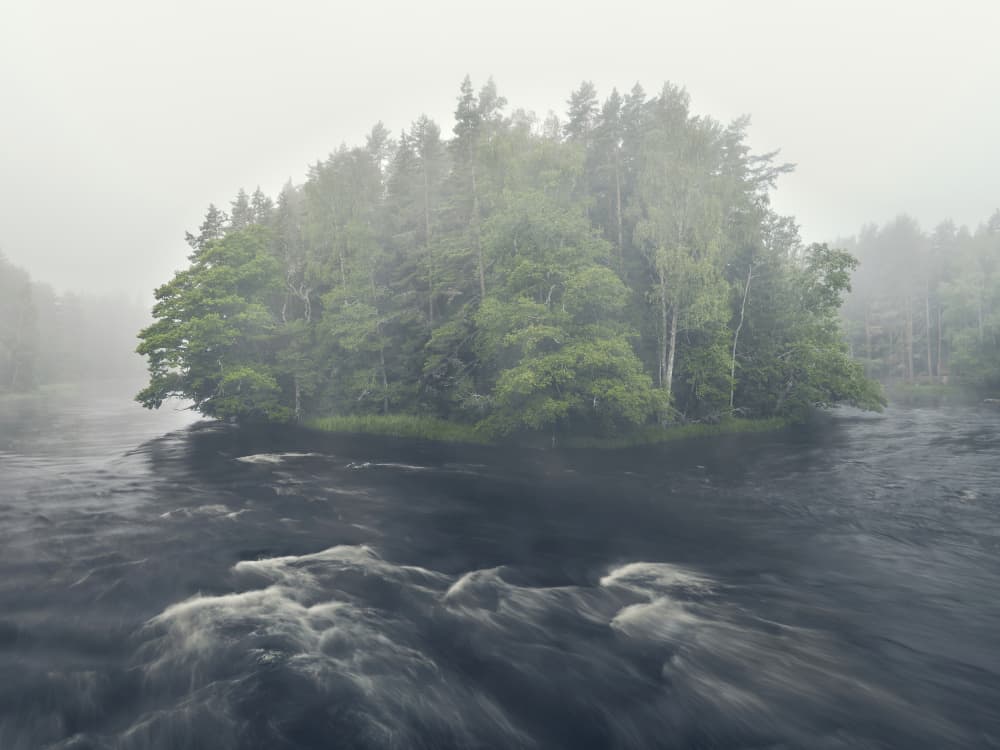Misty Forest River by Hamed Bank — canvas wall art