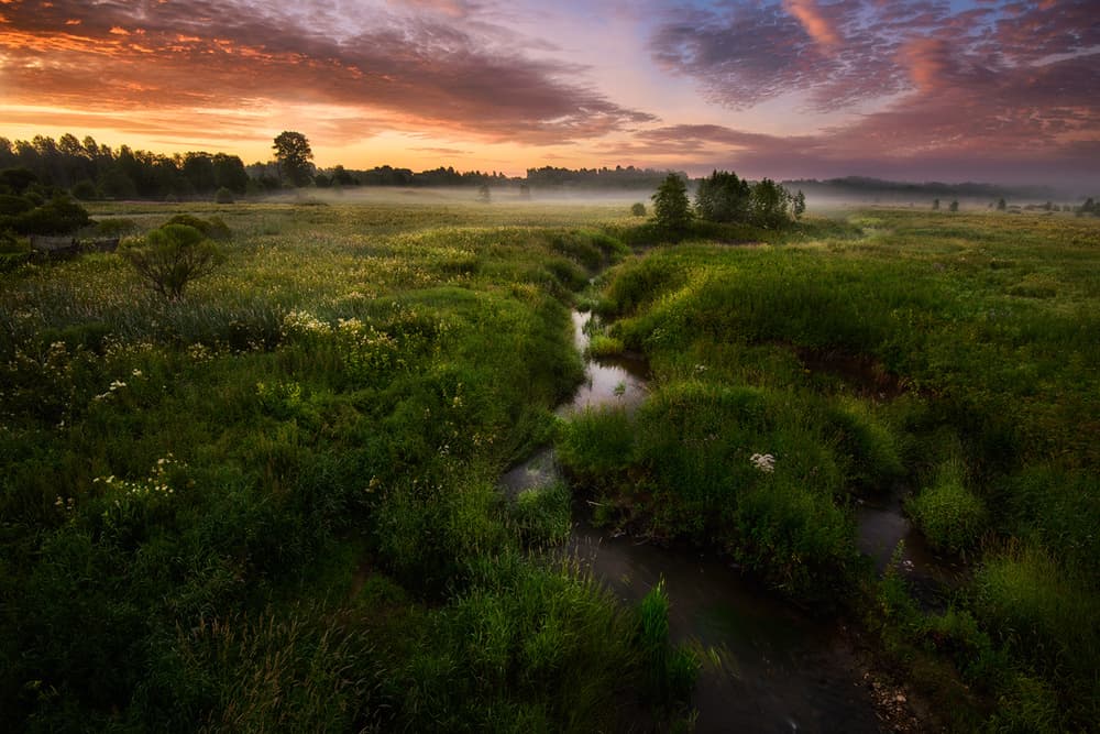 Misty Meadow Sunrise by Kirill Volkov — canvas wall art