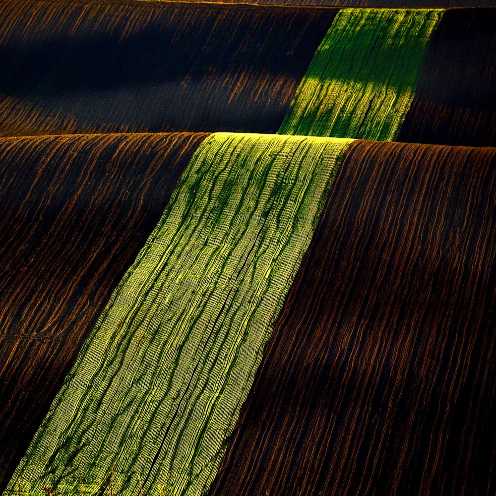 Rolling Green Fields by Milan Uhrin AFIAP AZSF — canvas wall art