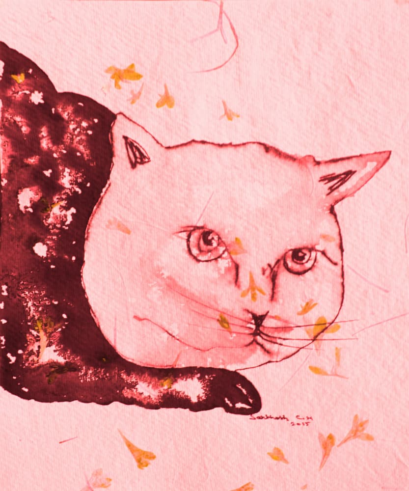 Serene Pink Cat by Santhosh ch — canvas wall art
