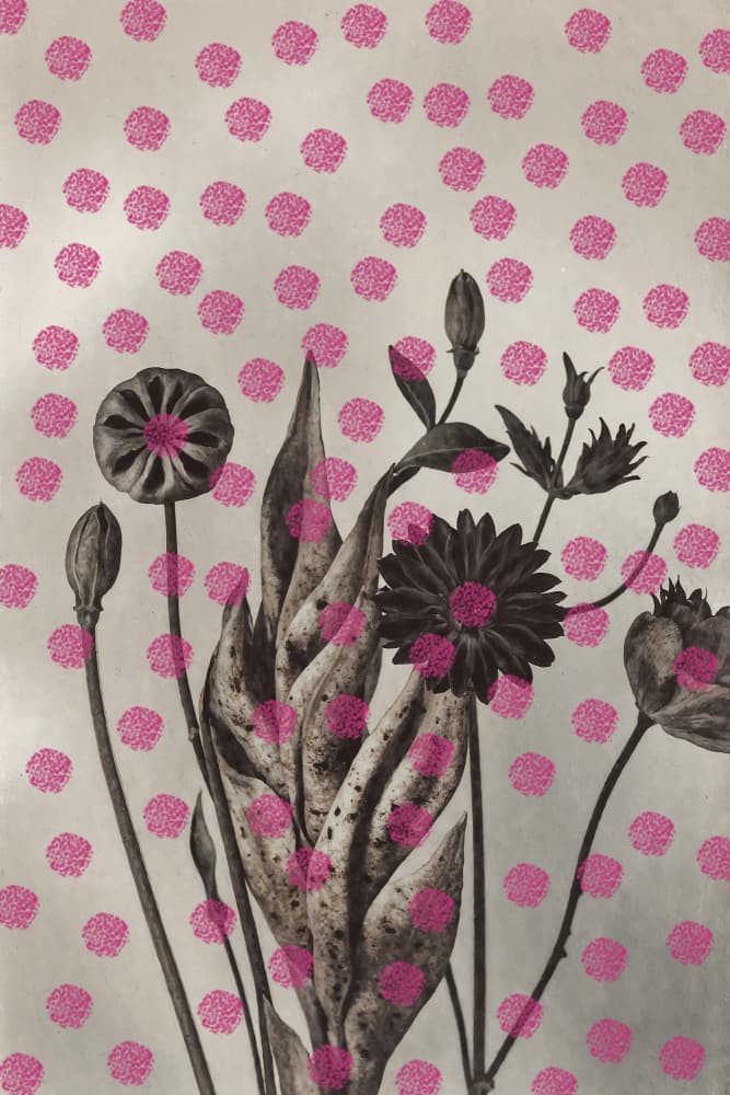 Botanical Pink Dots by The Art Concept — canvas wall art
