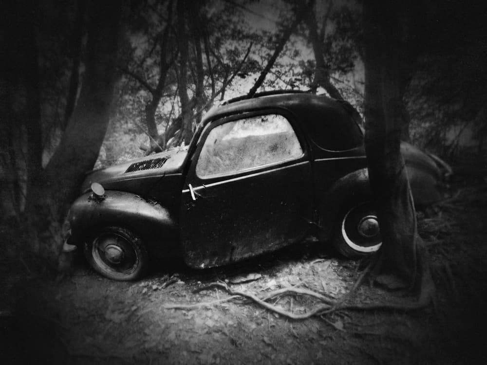 Forgotten Forest Car by Holger Droste — canvas wall art