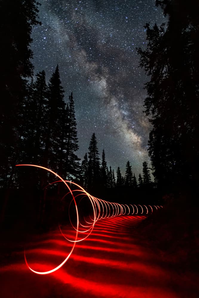Cosmic Red Forest Path by Yanyu Shen — canvas wall art