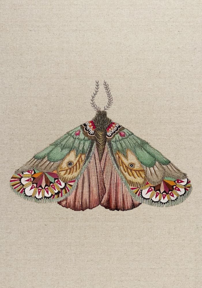 Ornate Embroidered Moth by ZAM.ROD — canvas wall art