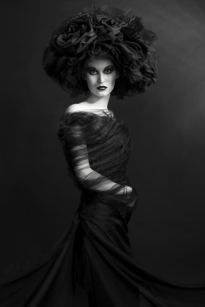 Sculptural Dark Elegance by Photographer — canvas wall art