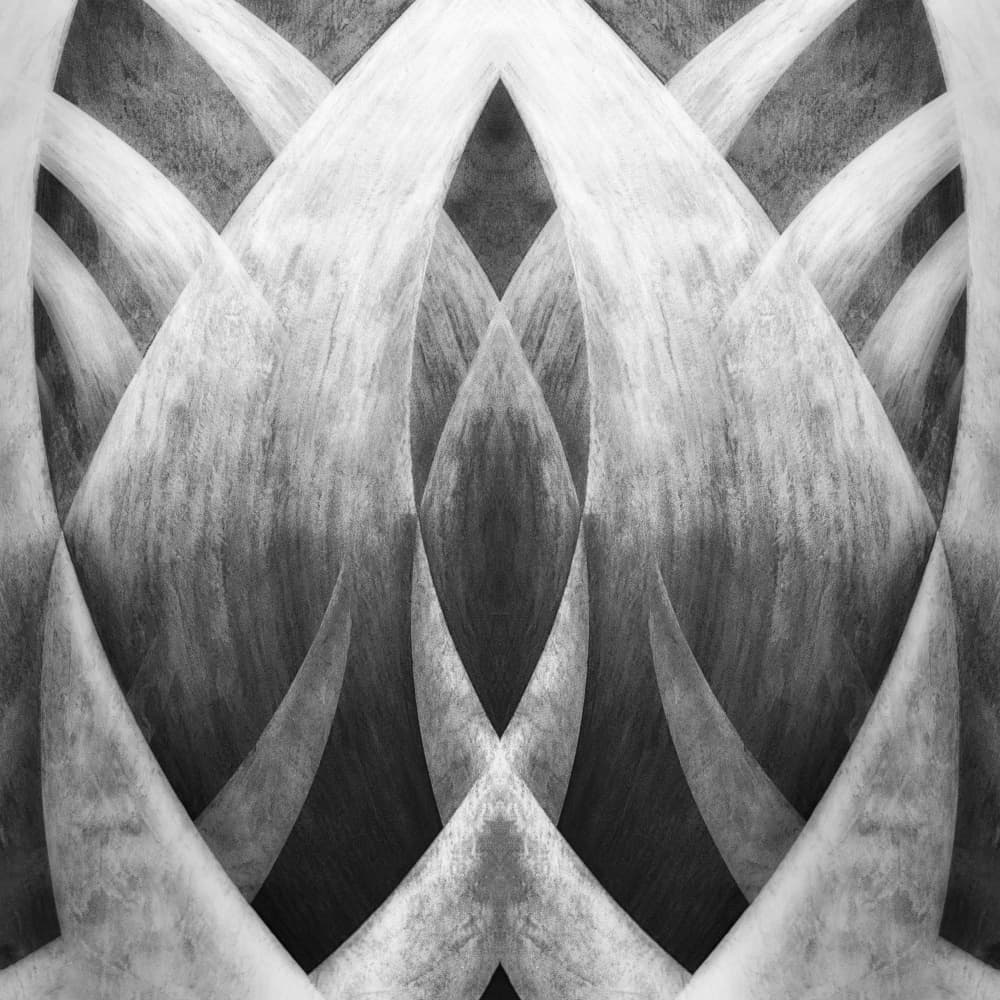 Graceful Organic Curves by Lotte Grønkjær — canvas wall art