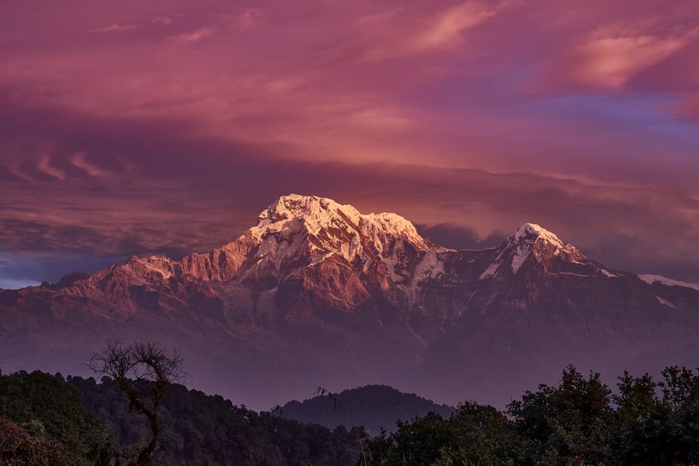 Annapurna Peaks Pink Dawn by Wiolett — canvas wall art