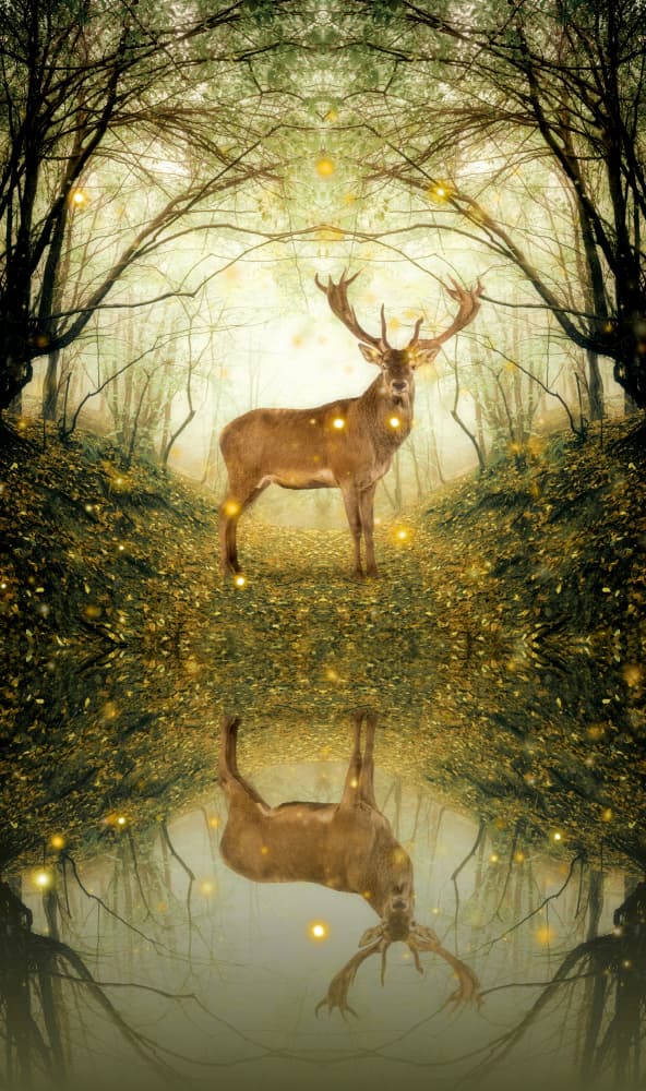 Enchanted Deer Reflection