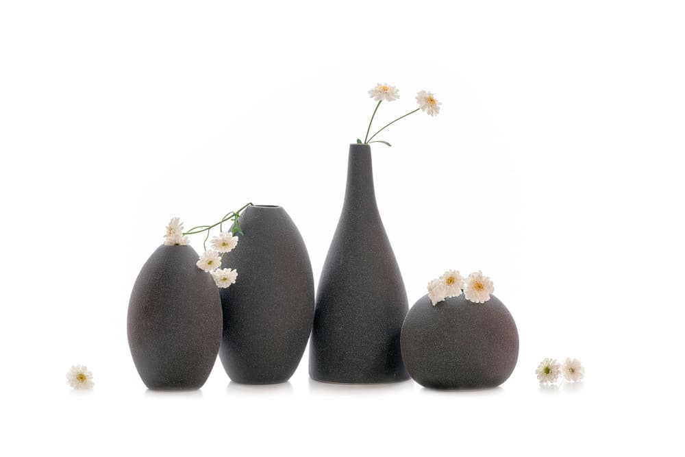 Dark Vases White Flowers by Lydia Jacobs — canvas wall art