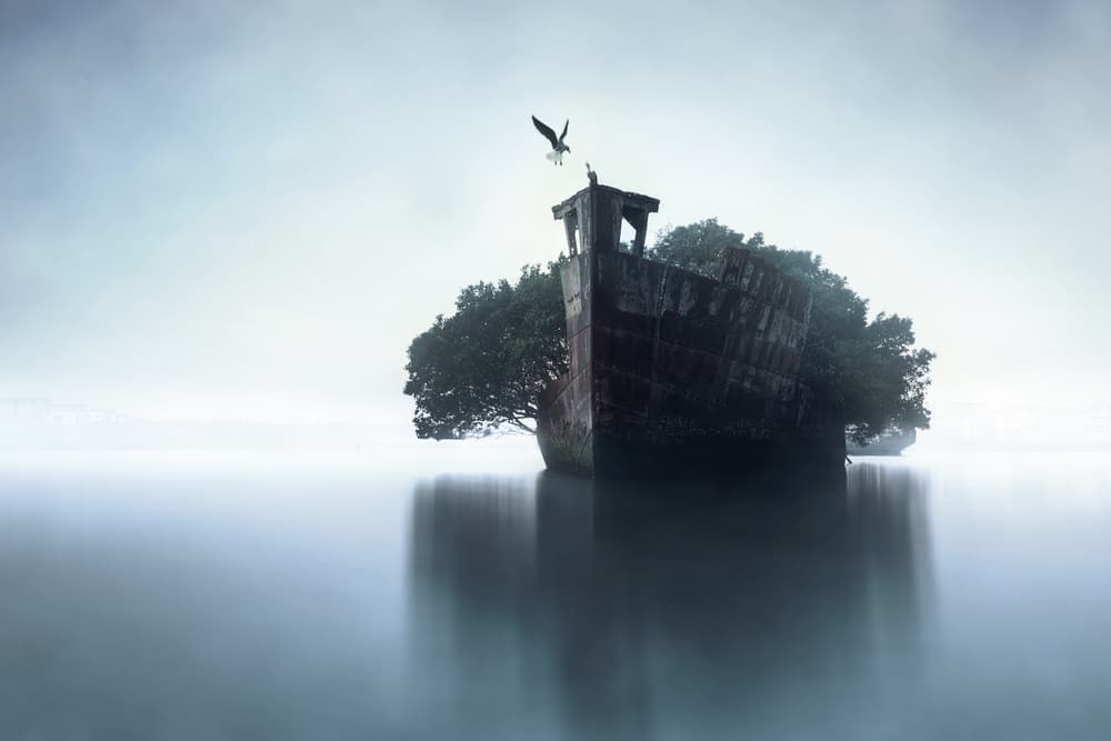Forgotten Shipwreck Mist by Terry F — canvas wall art