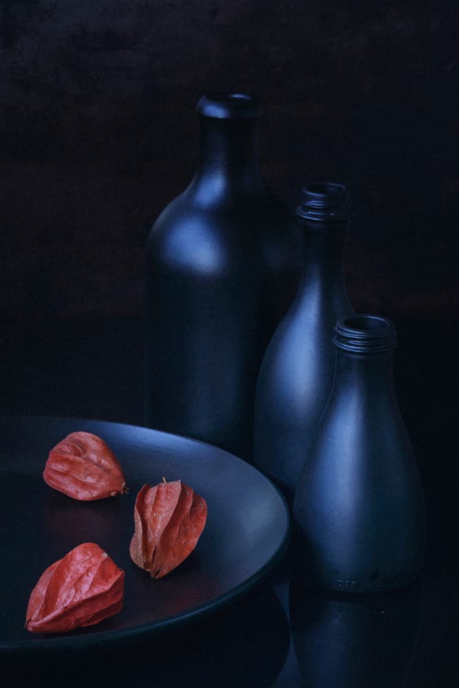 Physalis and Blue Bottles by Vladimir Pavlovskyy — canvas wall art