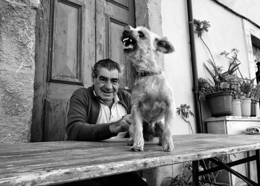 Smiling Man Barking Dog by Carlos Costa — canvas wall art