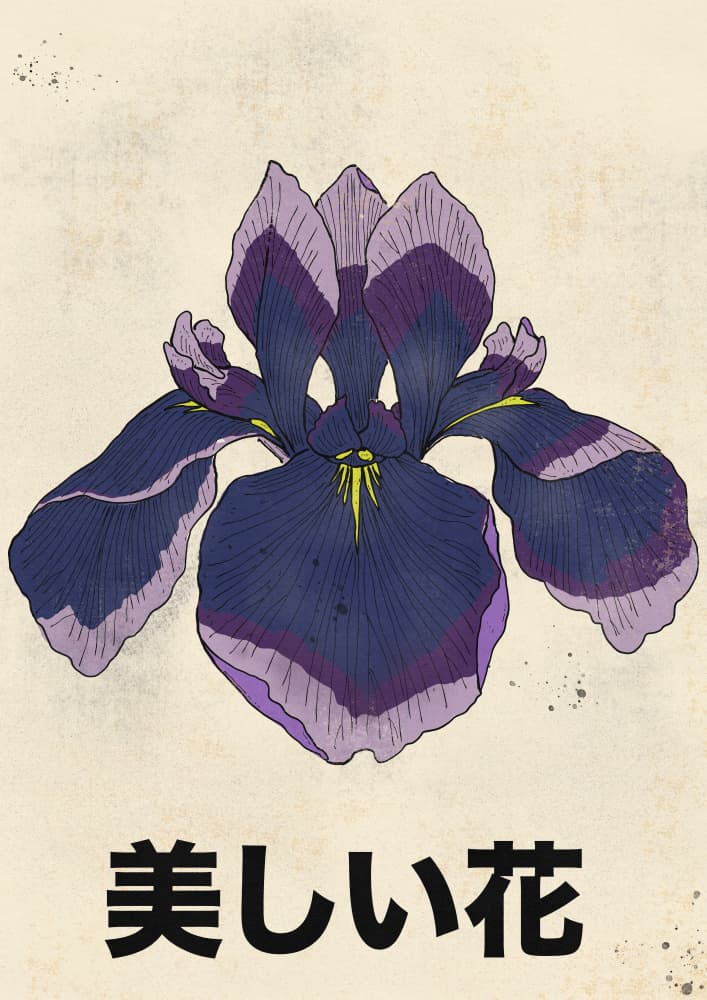 Beautiful Japanese Iris by Nicholas — canvas wall art