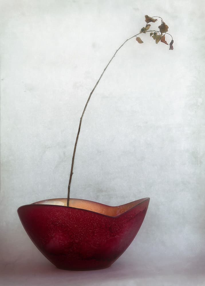 Delicate Autumn Still Life by Jeffrey Hummel — canvas wall art