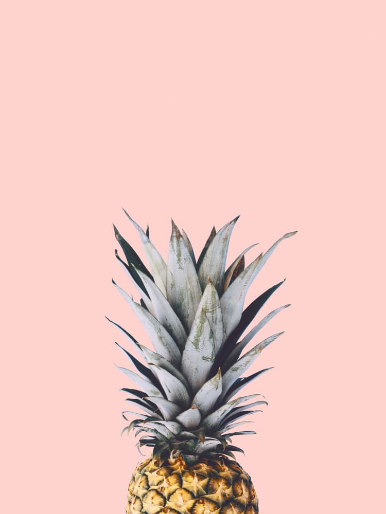 Fresh Tropical Pineapple by Vitor Costa — canvas wall art