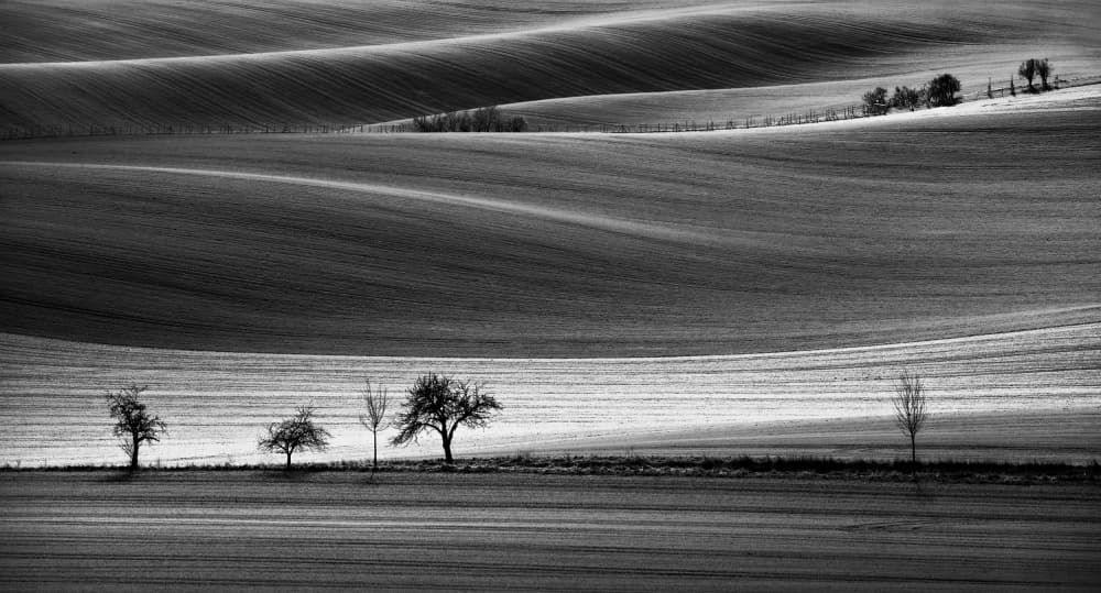 Monochrome Rolling Hills by Milan Uhrin AFIAP AZSF — canvas wall art
