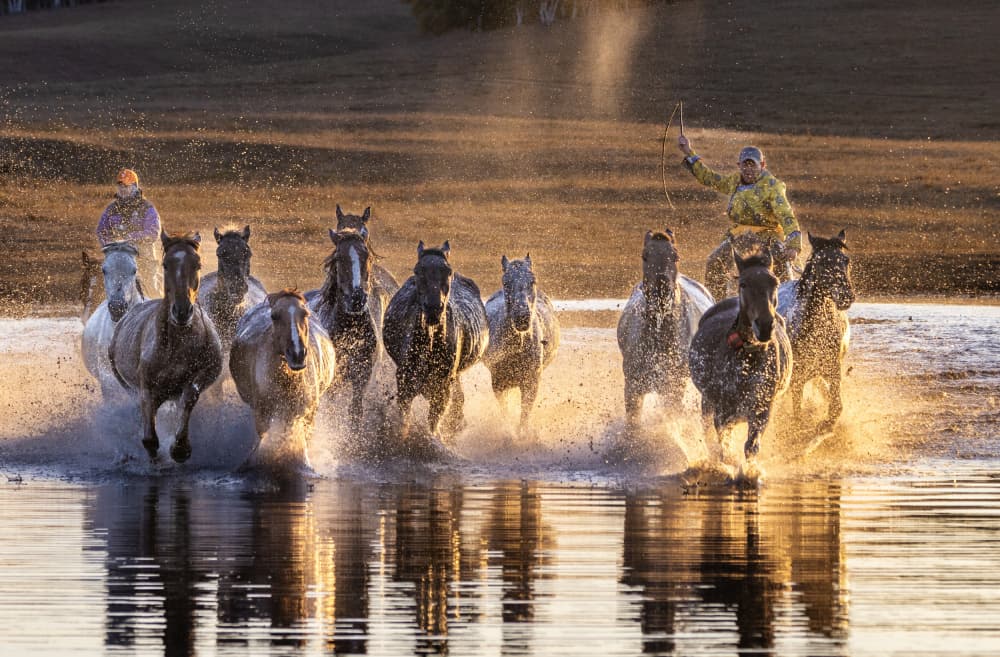 Wild Horses Galloping Water by Sally Widjaja — canvas wall art