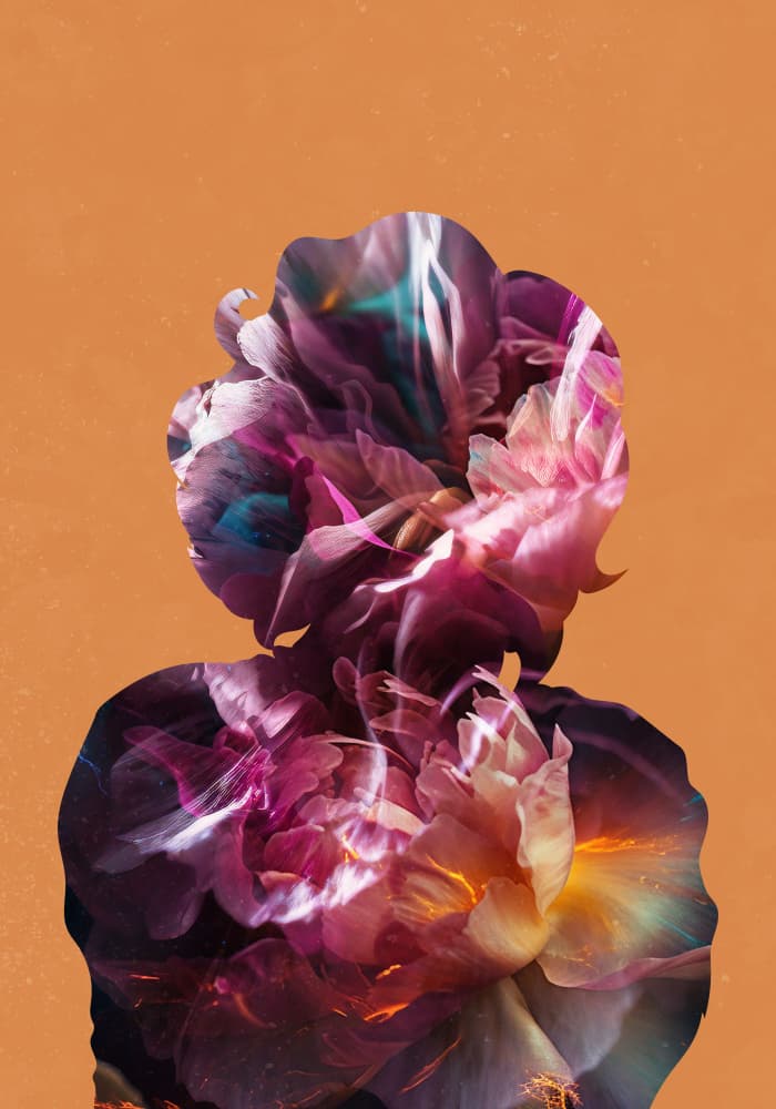 Vibrant Floral Portrait by Sarah Manovski — canvas wall art