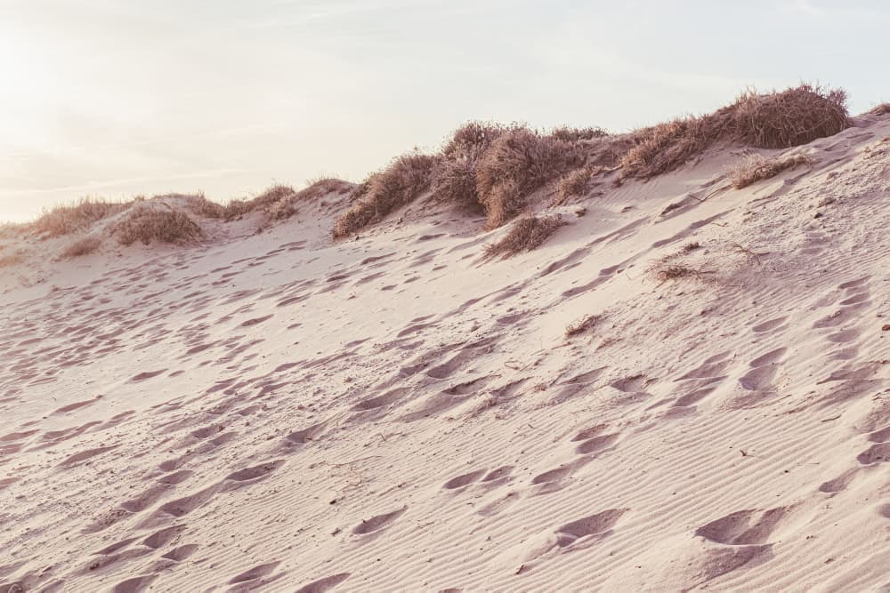 Footprints On Sand Dunes
