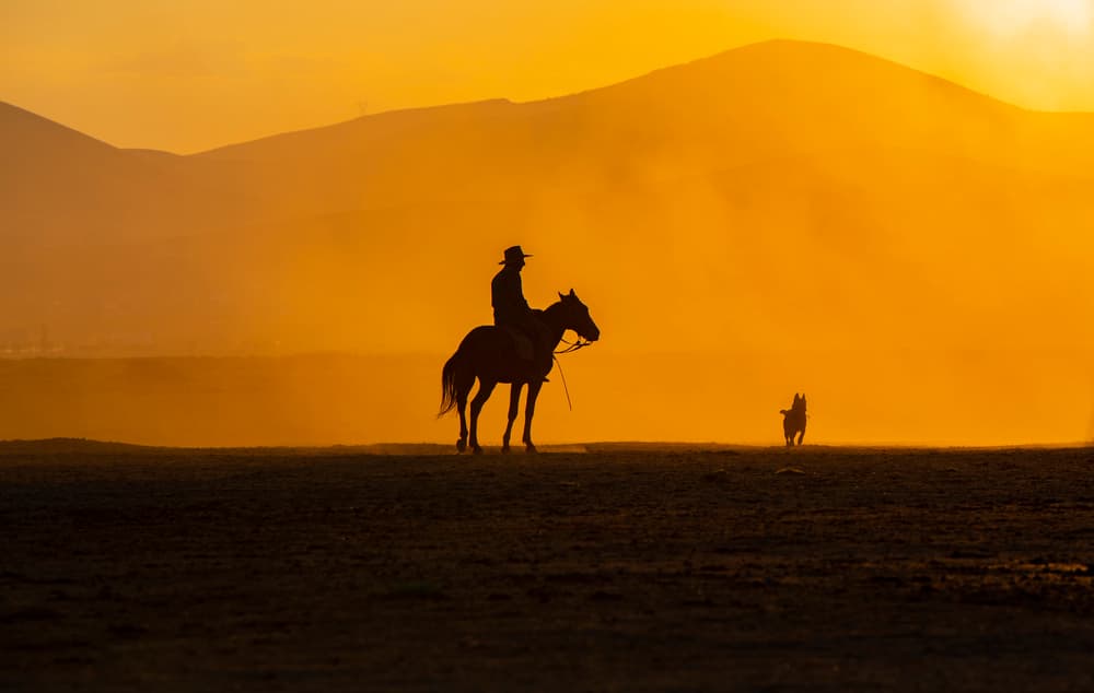 Cowboy Sunset Ride by BARKAN TEKDOGAN — canvas wall art